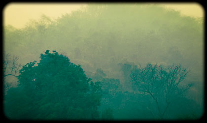 Woods Resort Sighseeing