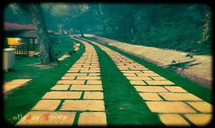 Woods Resort Walking Track