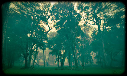Woods Resort Lawn