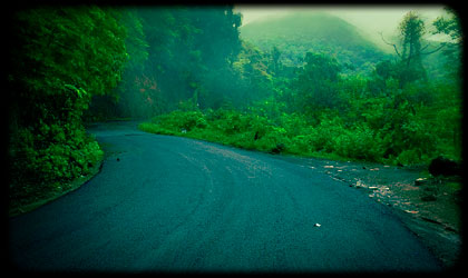 Woods Resort road